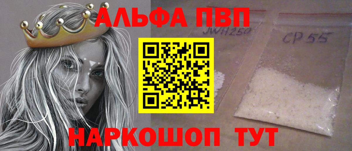 Альфа ПВП СК Ростов Великий
