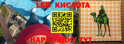 apvp Пугачёв