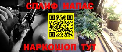 apvp Пугачёв