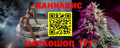 apvp Пугачёв